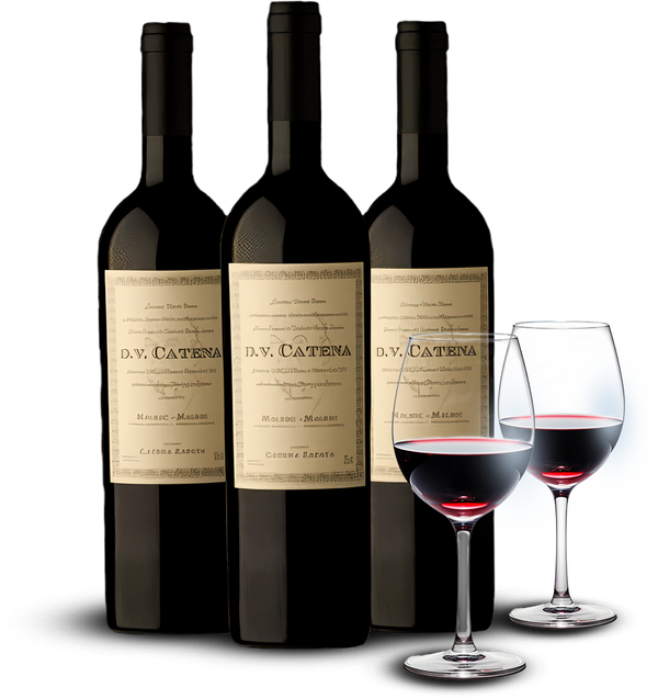 Kit 3 vinhos DV Catena + 2 Taças de cristal